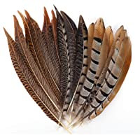 MWOOT plumas de cola de faisán naturales 15pcs 20-30cm decoración para manualidades- boda- fiestas de cumpleaños
